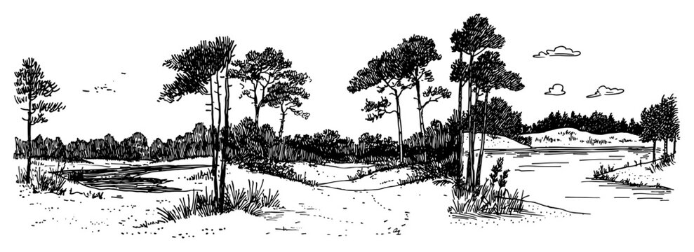 Coastal landscape with sand dunes and pine trees in vintage engraving style
