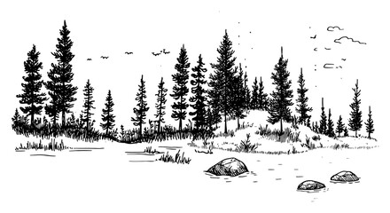 Coniferous pine forest landscape with rocks and birds in vintage sketch style © Kaz