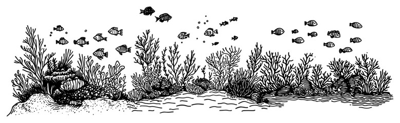 Underwater coral reef ecosystem with school of fish and sea plants in hand drawn engraving style © Kaz