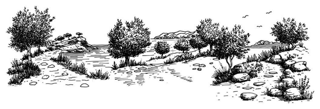 Mediterranean landscape with olive trees and stone path by the water panoramic sketch