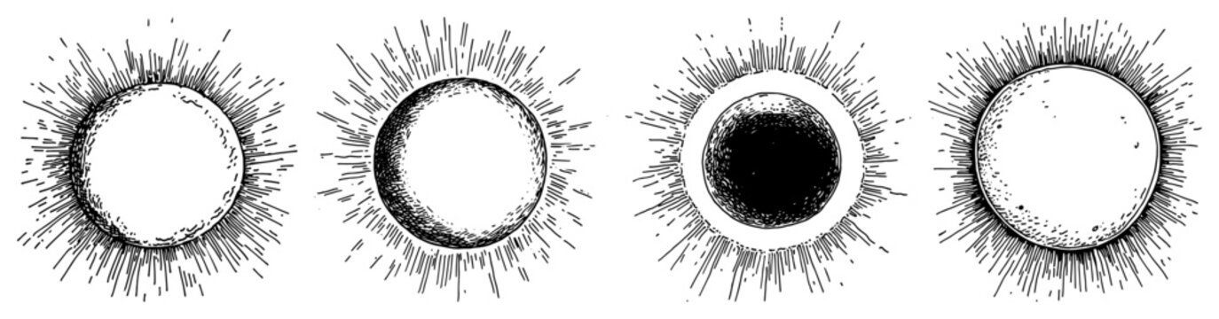 Solar eclipse phases with sun rays and celestial corona symbols vintage engraving style