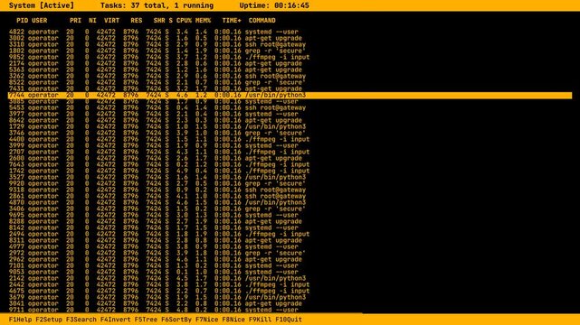 Live Linux Process Monitoring Dashboard, Real-Time System Task Manager Interface, Scrolling Command Line Terminal Data, IT Server Management Software Overlay