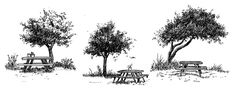Picnic tables and wooden benches under leafy trees in hand drawn sketch style