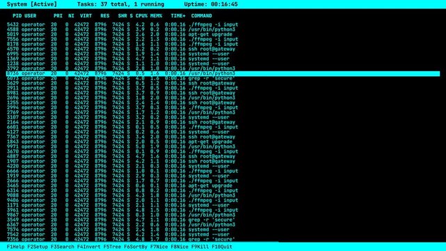 Linux Process Monitor Interface with Cyan Highlight, Real-Time Command Line Task Manager, Scrolling Server Logs and System Activity Console