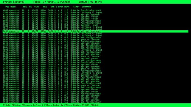 Linux Process Monitor Interface with Green Highlight, Real-Time Command Line Task Manager, Scrolling Server Logs and System Activity Console