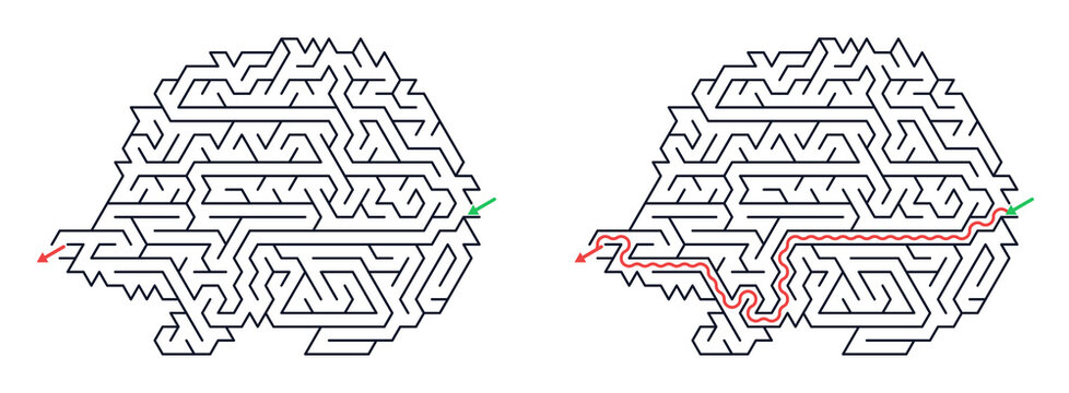 Maze puzzle for kids with solution path and playful hedgehog design  