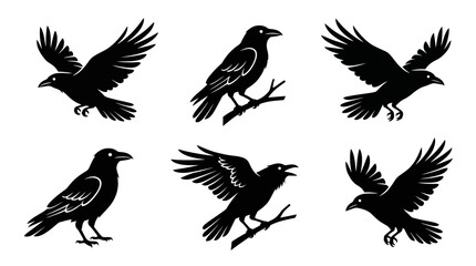 Naklejka premium different black crow silhouettes on a clean white background, minimalist vector style.