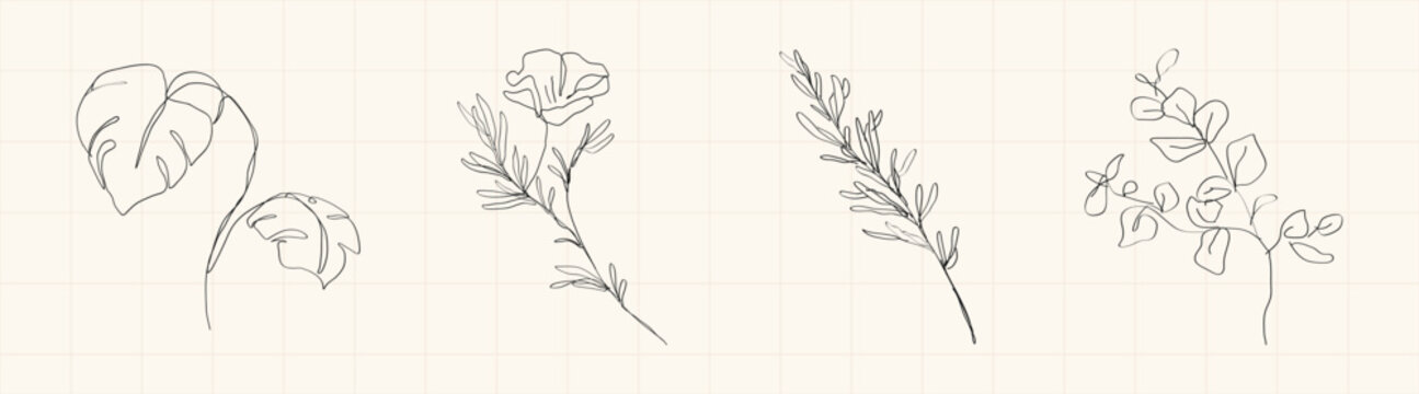 Minimal vector botanical line art with tropical leaves and delicate floral sprigs