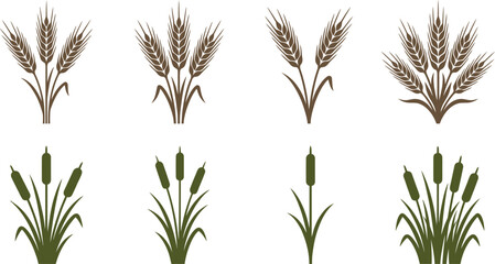 Obraz premium Wheat And Cattail Plant Collection Isolated Botanical Nature Decorative Silhouettes