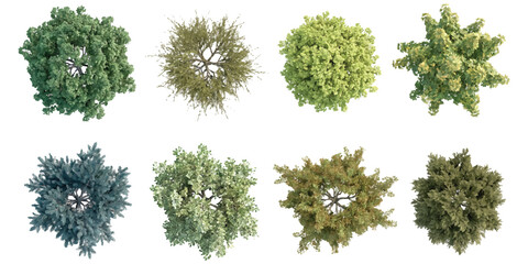 Naklejka premium Set of eight different green trees viewed from above for architectural landscape design plans Vector, illustration