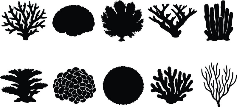 A comprehensive collection of diverse coral silhouettes showcasing various forms found in tropical ocean reefs, perfect for marine biology and underwater ecosystem designs