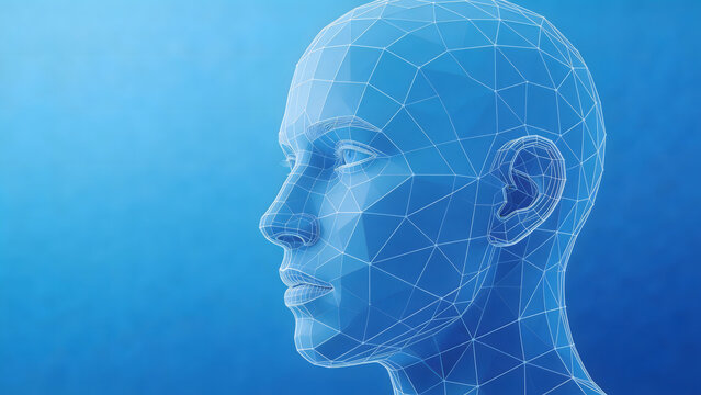 3D wireframe human head profile