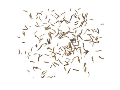 Scattered Shah i cumin seeds isolated on On Transparent Background, top view. Minimal spice texture for cooking, seasoning, food ingredients concept with copy space.