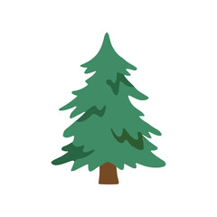 Fototapeta premium Green Pine Tree Evergreen Forest Foliage.