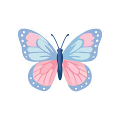 Colorful Butterfly with Pink Wings. © daksarupa