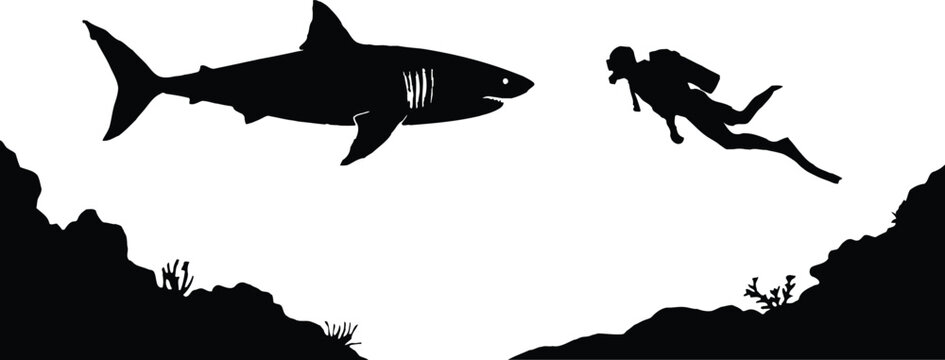 Tense underwater encounter silhouette a scuba diver faces a formidable shark in the ocean depths, symbolizing marine adventure and potential peril