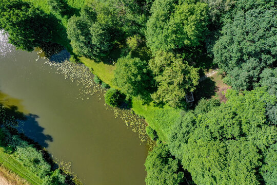 Aerial view of the Regnitzaltwasser river surrounded by lush green trees and floating aquatic plants in Forchheim, Bayern, Germany.