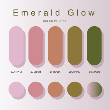 Emerald Glow muted color palette card with soft pink, earthy brown, olive green capsule & circular swatches, hex codes, and subtle gradient blend for branding and UI design.