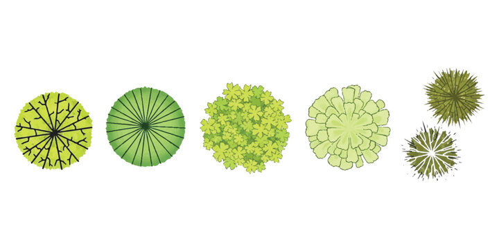 Set of green tree top view icons for architectural landscape design and garden planning Vector, illustration