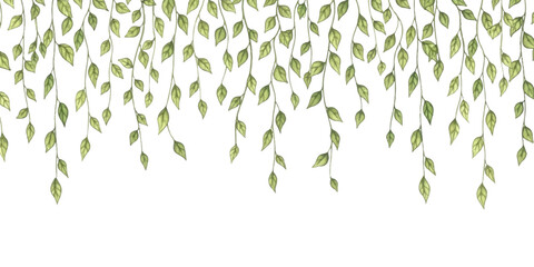 Hanging green leaves border illustration with thin hand drawn vine branches Vector, illustration © md