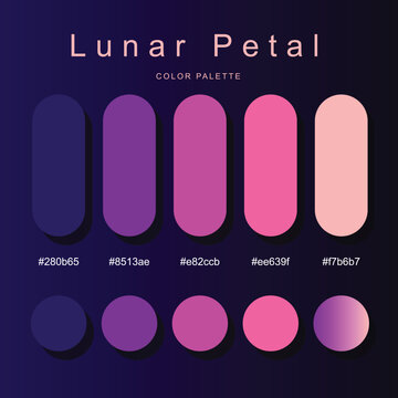 Vibrant purple-pink color palette, capsule and circular swatches, hex codes, asymmetrical radial gradient on dark background. Ideal for branding, UI, web design.