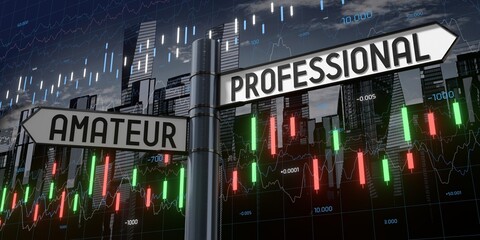 Amateur or professional - signpost with two arrows and financial data - 3D illustration © PX Media