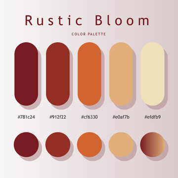 Rustic Bloom color palette poster with warm maroon, orange, beige. Features rounded capsule, circular swatches, hex codes for branding and UI UX design.