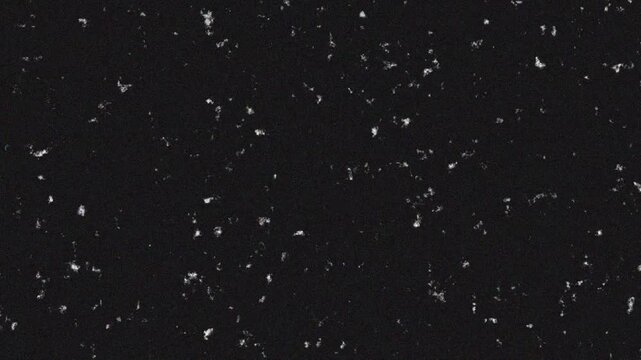 overlay effect, vintage film with subtle grain, coarse grain, negative film. Overlay element that you can just drag and drop over your footage.