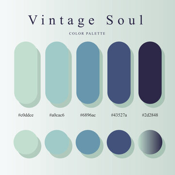 Vintage Soul color palette poster with muted blue-green capsule and circular swatches, visible hex codes, and clean dual-row layout for branding and web design