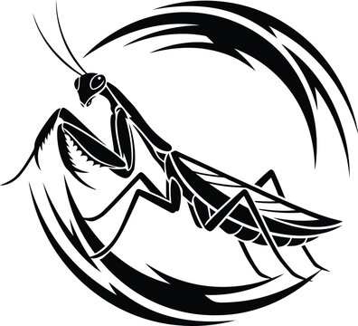 Praying mantis illustration black and white vector graphic