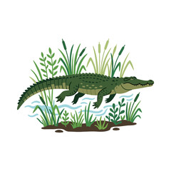 Fototapeta premium Green alligator in marsh with reeds and water, flat illustration