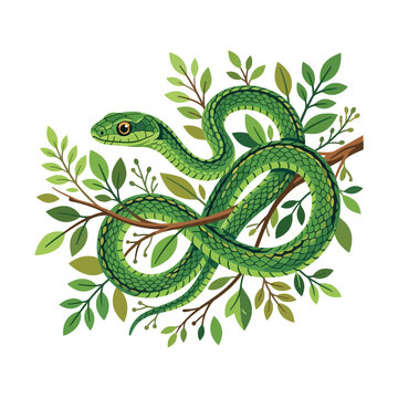 Green snake coiled on a branch with leaves, illustration