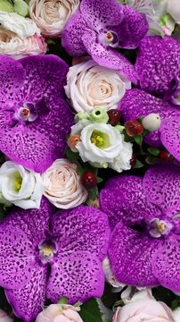 Purple Orchid Flowers Rotating Luxury Floral Arrangement Vertical Video. Exotic Pink Orchids And Roses Spinning Beauty Background. Elegant Orchid Bouquet Rotation Romantic Floral Decoration Flat Lay