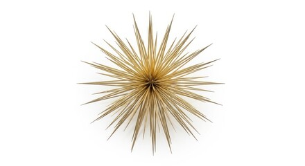 Naklejka premium Detailed illustration of a stylized sunflower with thin petals