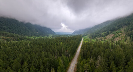 Obraz premium Foggy Forest Valley Road Through Lush Evergreen Trees in Fraser Valley, British Columbia, Canada