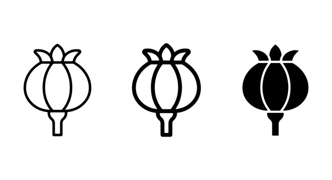 Poppy Seed Pod Icons, Botanical Vector Graphics, Simple Floral Elements, Outline and Solid Styles