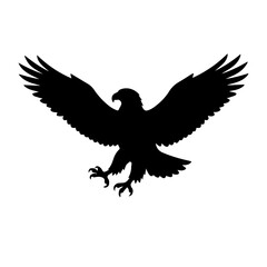 Fototapeta premium eagle in flight