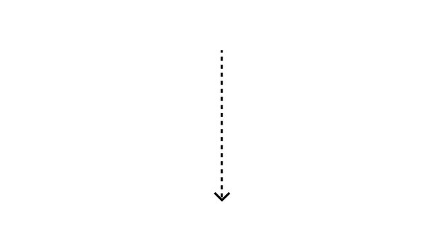 down arrow direction icon with dotted line animation on white background. dot arrows icon sign animated with alpha channel. Black straight arrows animation. Reveal animation of solid,