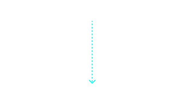 down arrow direction icon with dotted line animation on white background. dot arrows icon sign animated with alpha channel. Black straight arrows animation. Reveal animation of solid,