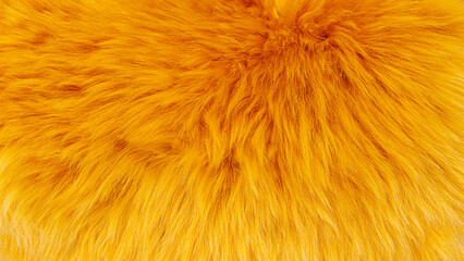 Fototapeta premium Bright yellow fuzzy texture fills the frame showing soft fur in detail during daytime light