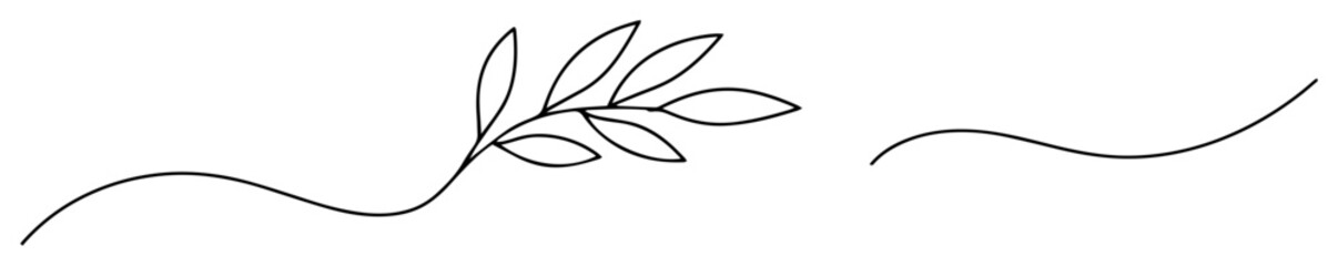 minimal olive branch line art © Wieslaw
