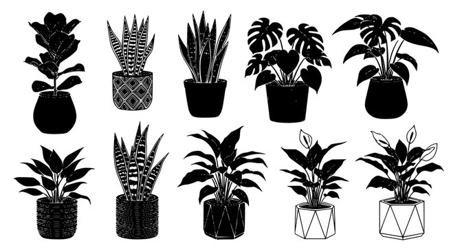 Collection of various potted houseplant silhouettes isolated on white background for interior design projects featuring diverse foliage shapes and modern ceramic plant pot styles for decor