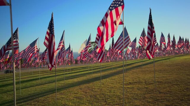 USA Flag September 11 memorial tribute display featuring hundreds of American flags waving in golden hour sunlight on grass field. Stars and stripes flutter in breeze casting long shadows across lawn.