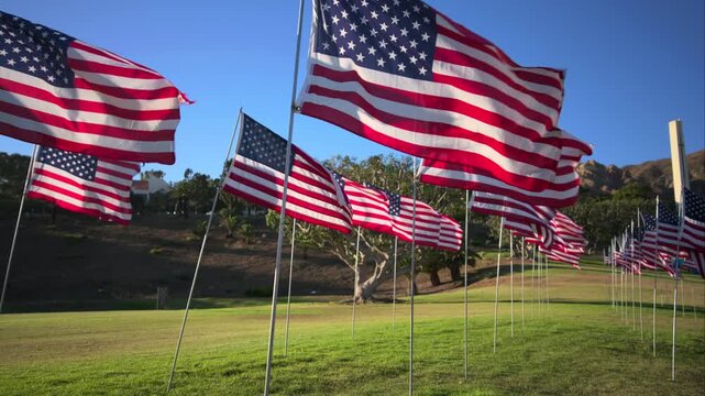 USA Flag September 11 memorial tribute displays numerous American flags waving in wind on a sunny day. Rows of flags on metal poles stand across green grass with mountains and trees in the background.