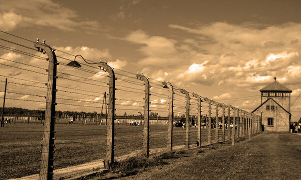 AUSCHWITZ BIRKENAU POLAND: Electric barbed wires of the German nazi concentration and extermination camp world heritage,  Here were exterminated 1.5 million people at the WWII