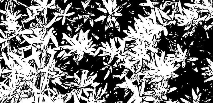 High-contrast monochrome abstract background featuring a distressed organic floral silhouette texture. Grayscale design ideal for gritty nature overlays, wallpaper, and apparel prints.