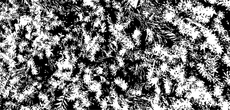 High-contrast monochrome abstract background featuring a distressed organic floral foliage silhouette texture. Grayscale design ideal for gritty nature overlays and textile prints.