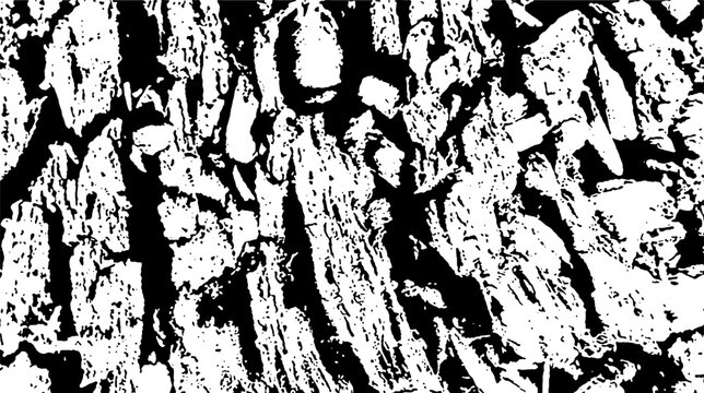 High-contrast monochrome abstract texture featuring detailed organic cracked wood bark patterns. Grayscale vector design ideal for rustic background overlays and weathered graphics.