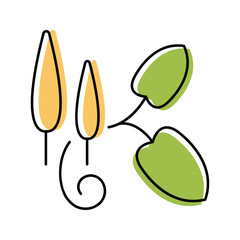 Plantain herb icon. Science and herbs line symbol. Color. © M.Style