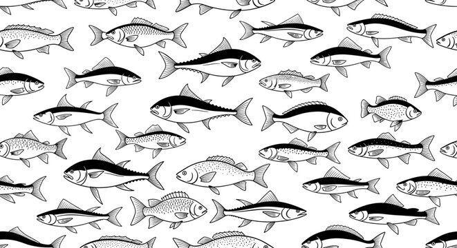 Seamless pattern of various fish species hand drawn in black and white sketch style